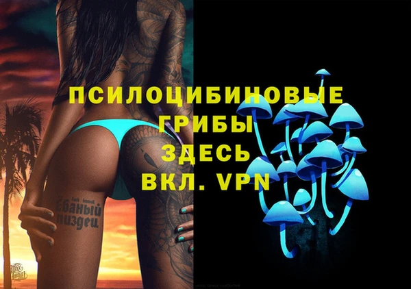 прущие крисы Абинск