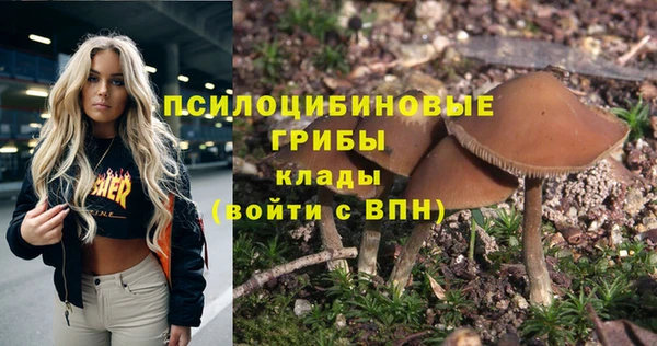 прущие крисы Абинск