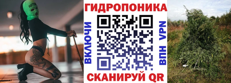 купить закладку  Абдулино  MEGA как зайти  Бошки Шишки OG Kush 